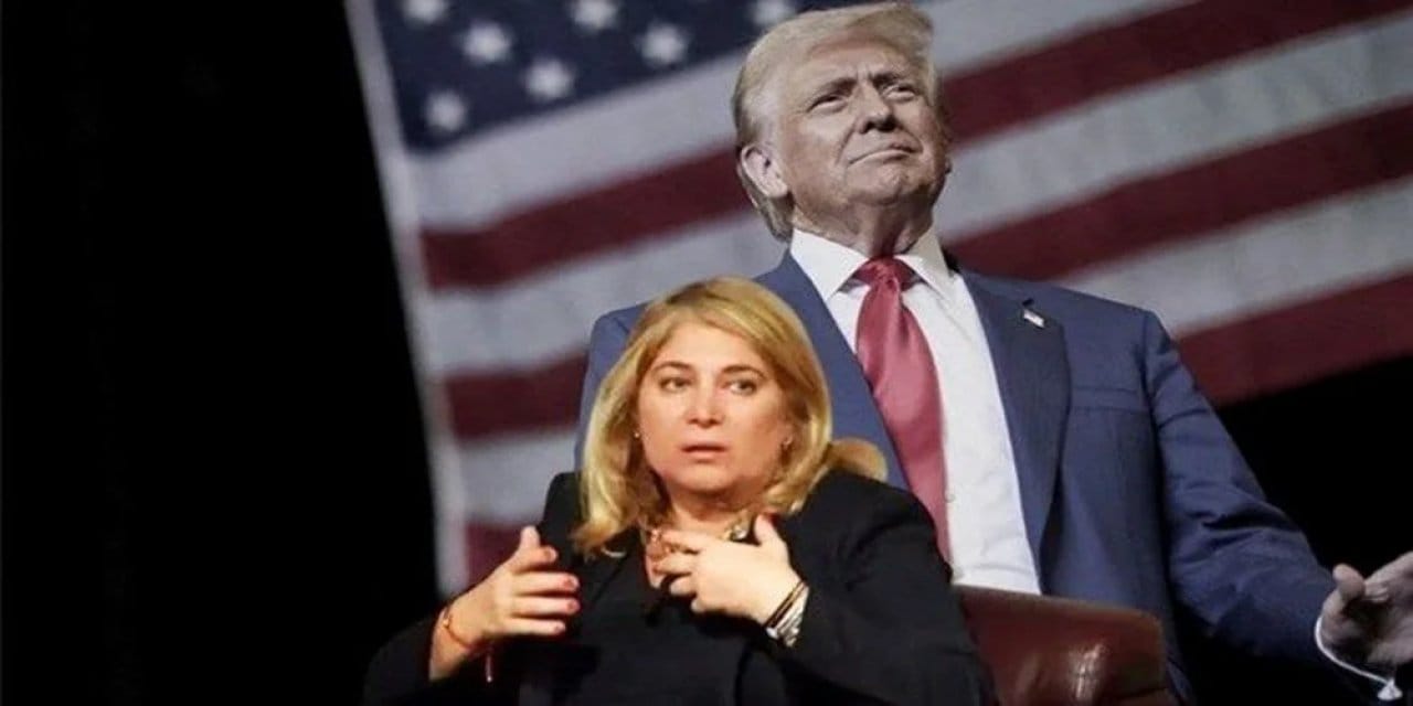 abdde turk bakan yardimcisi dr mehmet ozun kardesi atandi tW8ELz4c