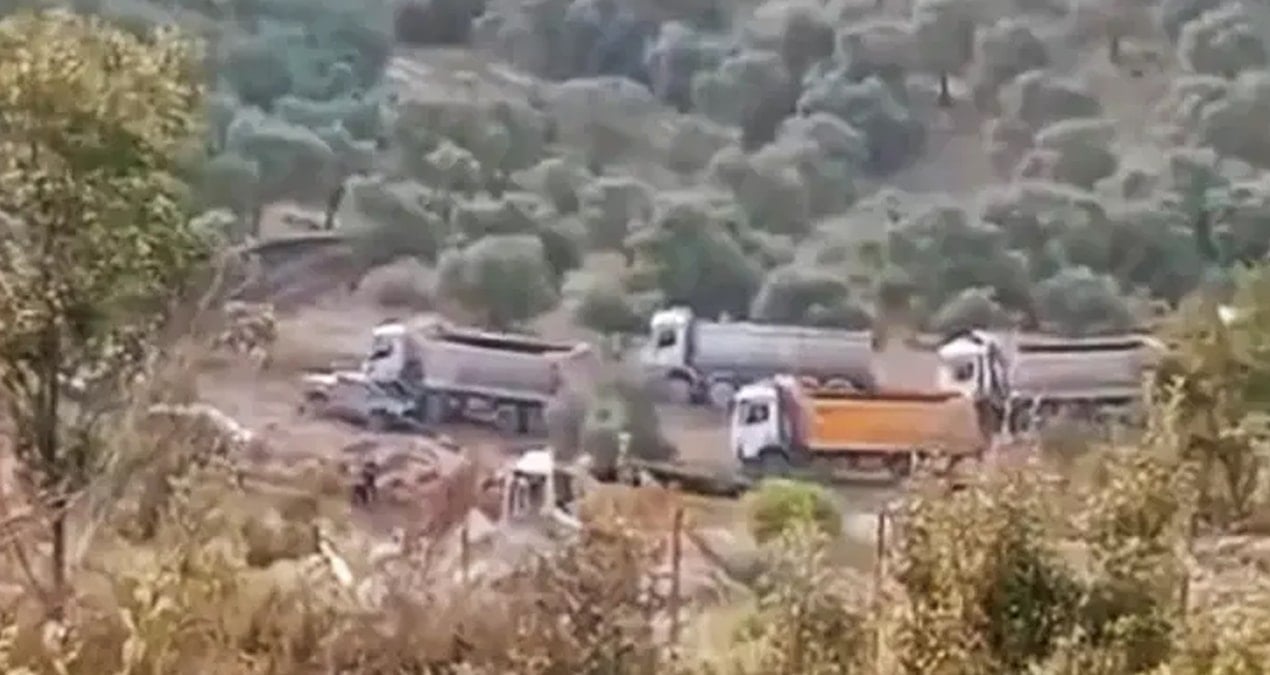 chpli tanaldan akbelen tepkisi 2CBgnpKb