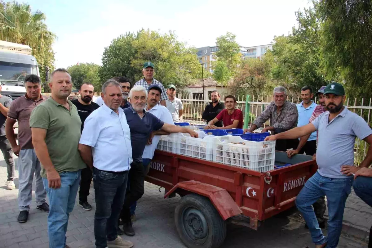 incir alimlari tuccar sorunu nedeniyle durduruldu WR5LSA5t