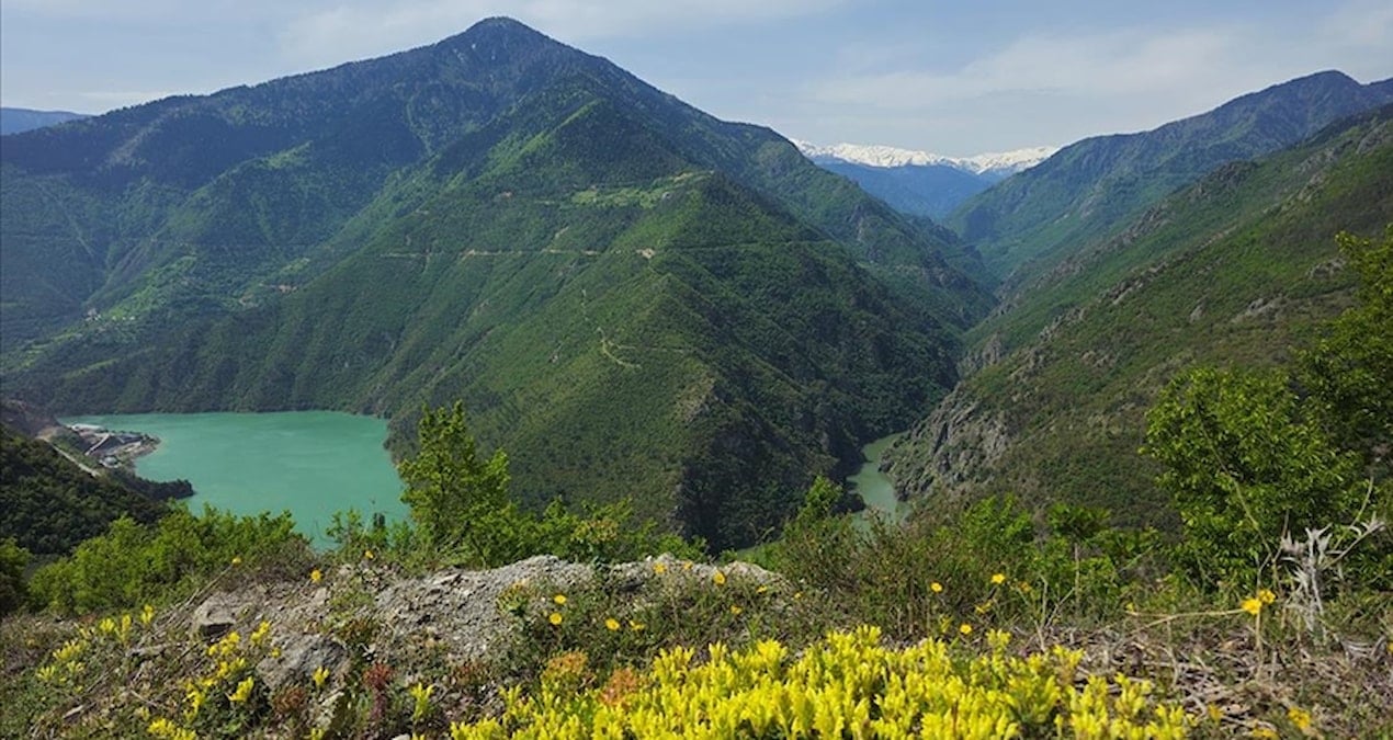 karadenizin en saglikli sehri belli oldu gfZCGxpX