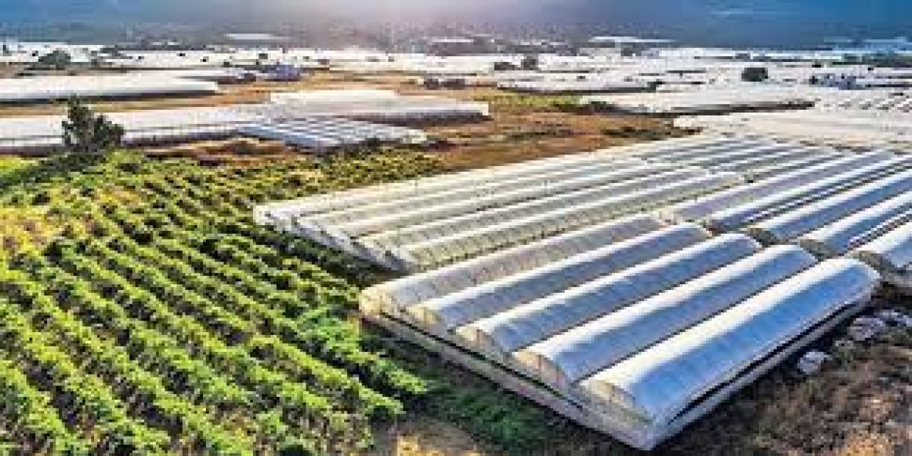 silopide tarimda donusum basladi 1000 kisiye is binlerce sofraya urun E2Yhzaij