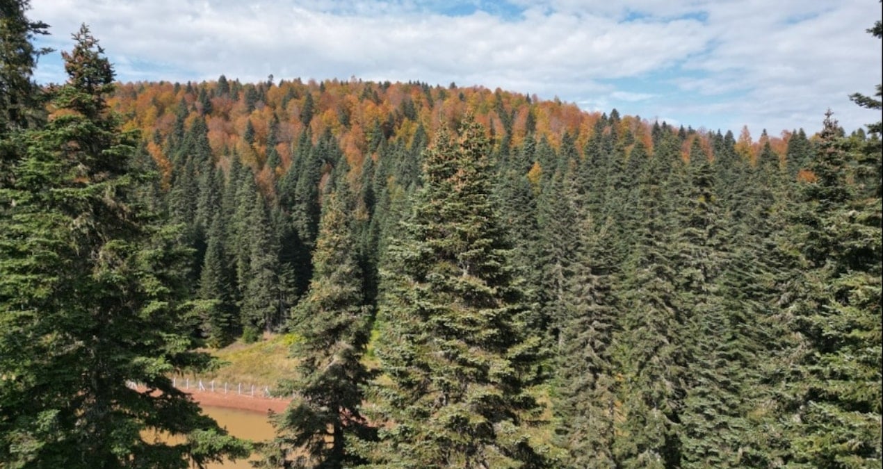 bartin ve karabuk yaylalarinda sonbahar guzelligi XfXPkJrv.jpg