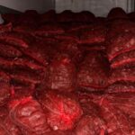 10-ton-kacak-midye-ele-gecirildi-InrWmyqX